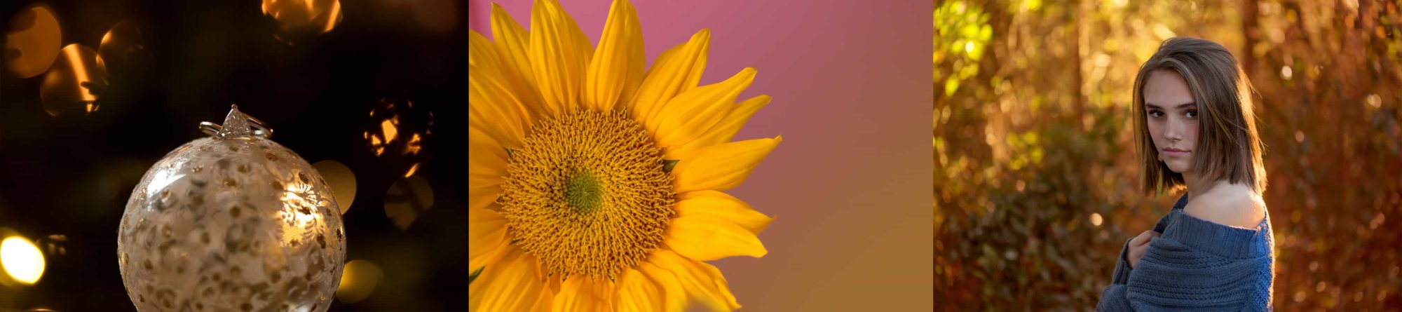 An example of 3 images using the Canon 100mm 2.8 Macro lens