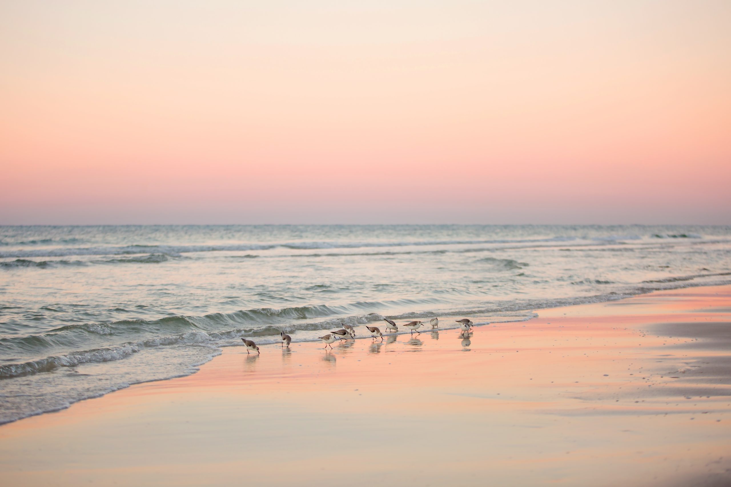 Coastal beach photography, Panama City Beach, by Laura Jennings